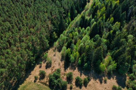 A high angle shot of a beautiful green landscape with trees in the Minsk region of Belarus